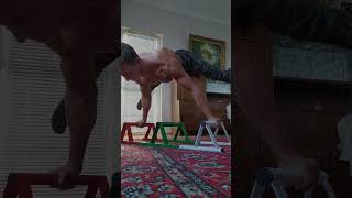 FIRST CALISTHENICS HOME WORKOUT COMBO 2020 shorts calisthenics homemade [upl. by Cherilynn249]