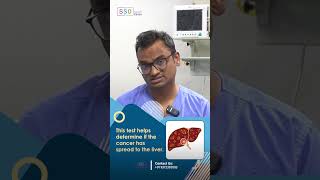 How CT and PET Scans Help Determine Cancer Spread to the Liver  Dr Praveen Kammar Mumbai [upl. by Bryn684]