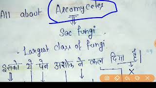 Sac Fungi  Ascomycetes  Examples amp Characters  TrickMnemonic  NEETAIIMSJIPMER amp ICAR [upl. by Rilda894]