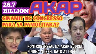 SEN BATO AT IMEE PINUNA ANG BUDGET NG AKAP [upl. by Tibbetts957]