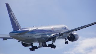 松山空港☆間近に観える飛行機の音・迫力・瀬戸内・夕日の絡み☆醍醐味をお楽しみください。BGM ♪ Blue Star ブルー・スター☆Matsuyama Airport【撮影 SideCamera】 [upl. by Walworth454]