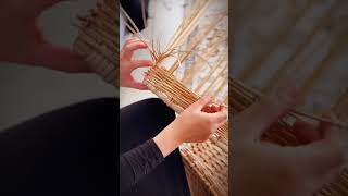 Regular weaving course in Israel 🇮🇱WillowWeaving HandmadeCraft [upl. by Yorel]