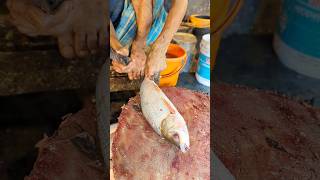 Amazing Big Mrigal Fish Cutting Skills Live In BD Fish7Market [upl. by Allare669]