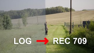 3 méthodes pour passer du LOG au REC 709  DAVINCI RESOLVE [upl. by Gallager]