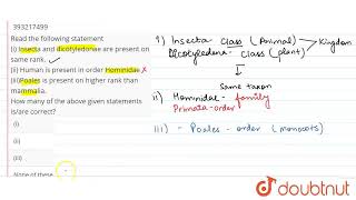 Read the following statement i Insecta and dicotyledonae are present on same rank ii Human [upl. by Erinna]