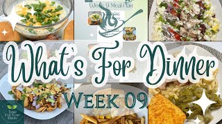 What’s For Dinner  Week 09  Meal Plan [upl. by Akayas]