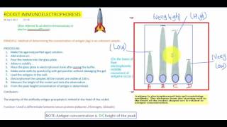 ROCKET IMMUNOELECTROPHORESIS [upl. by Yttam]