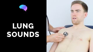 Lung sounds respiratory auscultation sounds  UKMLA  CPSA [upl. by Deeraf260]