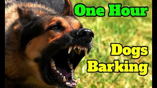 Dogs Barking for One Hour  barking sounds for 60 minutes of different breeds of dogs [upl. by Hayidan]