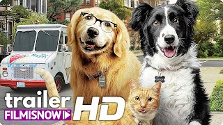 COMO CÃES amp GATOS 3  PELUDOS UNIDOS Trailer Dublado  Filme Família 2020 [upl. by Ikin922]