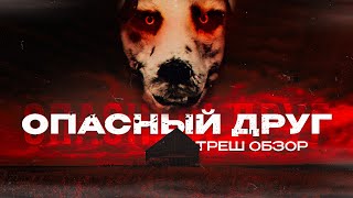 ОПАСНЫЙ ДРУГТРЕШ ОБЗОР good boy [upl. by Melbourne]