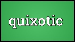 Quixotic Meaning [upl. by Maroj]