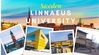 Introduction to Linnaeus University in Sweden [upl. by Arries813]