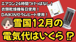 【電気代】24時間エアコンつけっぱなし！衣類乾燥機毎日使用！雪国築古木造アパートの電気代はいくらかかる！？ [upl. by Angelico]