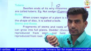 AGRON 313 Lecture 5 Reproduction and Dissemination of Weeds [upl. by Sandstrom]