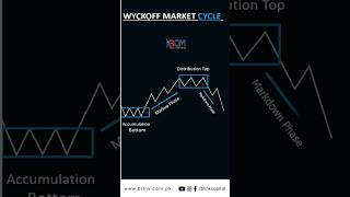 WYCKOFF Market Cycle [upl. by Liryc816]