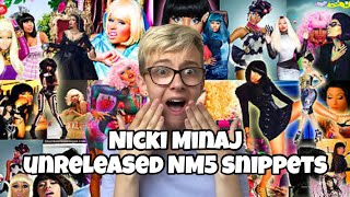 NICKI MINAJ UNRELEASED NM5 SNIPPETS  REACTION  Zachary Masters [upl. by Merralee389]