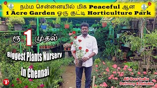 ரூ 1 முதல் இவ்வளவு கம்மியா விலையில் யாராலும் தர முடியாத Cheap and best Wholesale Nursery garden [upl. by Fernand]