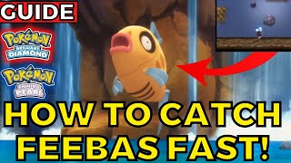 How to catch Feebas FAST in Pokemon Guide Brilliant Diamond Shining Pearl [upl. by Ereveniug]