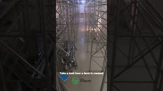 Have you ever thought about how a farm is created verticalfarming ifarm [upl. by Jay8]