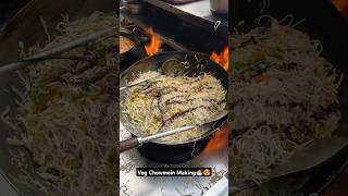 Veg Chowmein In Just Rs80 Only At Shree Pandit Ji Foods Mall Road Kanpur  shorts [upl. by Bayard339]