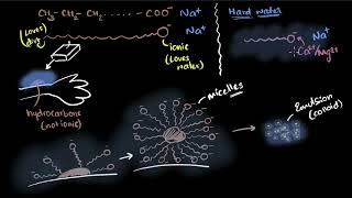 Soaps and detergents  Carbon and its compounds  Class 10 Chemistry  Khan Academy [upl. by Maibach]