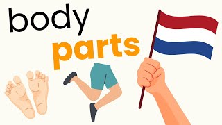 20 Lichaamsdelen In Het Nederlands  Learn Body Words In Dutch  The Dutch Den [upl. by Anairotciv]