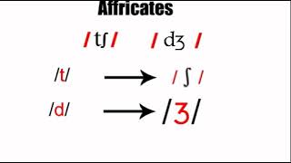 Affricates 2 phonetics course [upl. by Ydde]