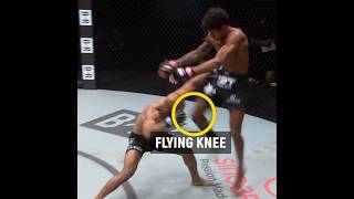 mighty mouse knockout by flying kne ufc mma ufcusa ufcamerica [upl. by Tatianas]