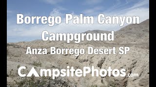 Anza Borrego Desert State Park  Borrego Palm Canyon Campsites [upl. by Mel197]