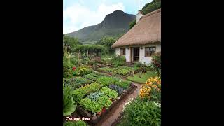 The Cottage of Thatched Roof Construction [upl. by Ellirehs]