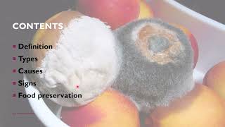 Microorganisms in food  Microbes in food  Applications of microbes in food industry [upl. by Flyn]