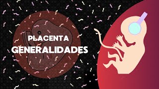 Desarrollo de placenta  Embriología humana [upl. by Nylrad]