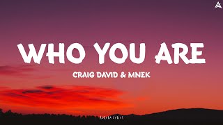 Craig David amp MNEK  Who You Are  Lyrics [upl. by Jamima]