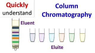 Column chromatography [upl. by Olegna630]