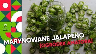 Marynowane papryczki jalapeno  przepis [upl. by Ycul]