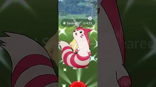 Getting Lucky With ✨Shiny Furret in pokemongo [upl. by Dnomal]