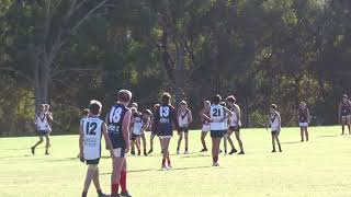 Mini Colts Round 6 Vs Blackwood 2024 [upl. by Haeluj]