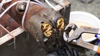 Cut trim and clean screws with nails glass STICKED IN cows hoof [upl. by Tneciv]