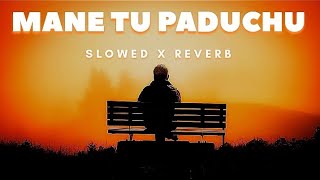 Mane Tu Paduchu Alo Pageli Odia Slow Reverb Lofi Song l Human Sagar l odialofisong [upl. by Leeban]