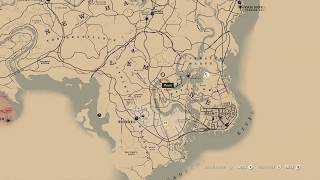 RDR 2 Exotics Prep  Egrets Herons and Spoonbills collected in advance 03 [upl. by Monahan30]