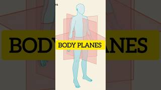 BODY PLANES AND SECTION medial coronal sagittal  Basic Anatomical terms anatomy [upl. by Quin741]