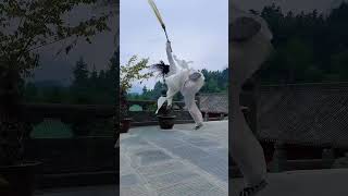 Wudang Horsetail Whisk  The Art of Fu Chen [upl. by Melvena829]