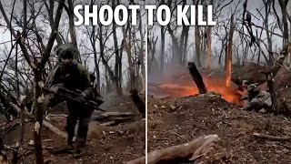 Ukrainian soldiers obliterate Russian enemies amp shoot down quadcopters in ambush [upl. by Lorraine]