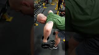 Bent over Dumbbell rear delt row [upl. by Assenat]