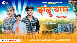 😅झंडु बाम‼️ jhandu bam 🤭New Timli Song Vishal Jamune 2024vishaljamune [upl. by Neemsay589]