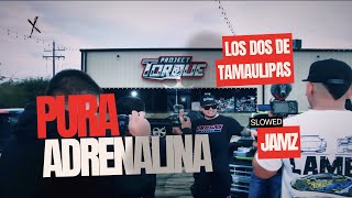 Los Dos De Tamaulipas  Pura Adrenalina Slowed Rebajada [upl. by Hickie]