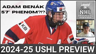 IS ADAM BENÁK THE NEXT 5FOOT7 1ST ROUNDER  USHL 202425 Season Preview [upl. by Casanova363]