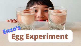 Egg in Vinegar Science Experiment  EnzoTVidz  with SUBTITLES [upl. by Pain458]