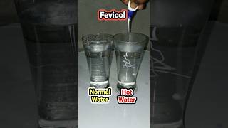 Fevicol Hot amp Normal Water Experiment experiment gogoexperiment easyscienceexperiments goofys08 [upl. by Naicad]